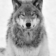 woofles