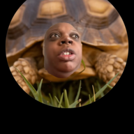 Dinklewinkle2468