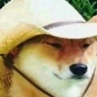 Country Doggo