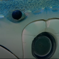 Spycrab