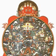 User Account Samsara