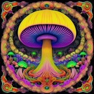 Shroom Kingdoom