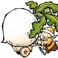 turnip chan
