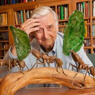 Extra Racist E.O. Wilson