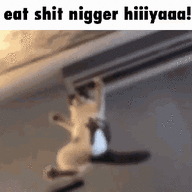 But Nuster
