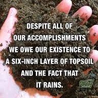 Topsoil