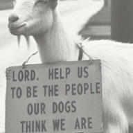 GigglyGoat
