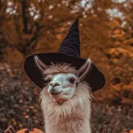 Schizoid Llama