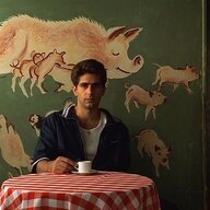 Tennessee Moltisanti