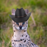 Ram Ranch Resident