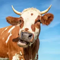 milkenjoyer666