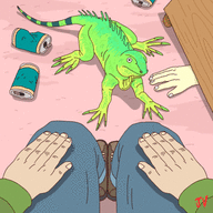pet lizards Instagram acc