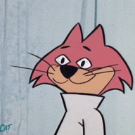 ChooChooCat