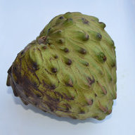 cherimoya
