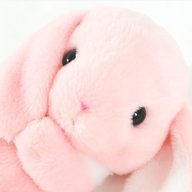 lovable