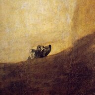 The Dog
