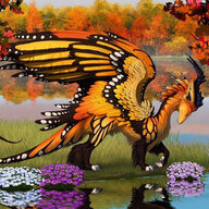 Butterfly Dragon