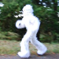 Albino Sasquatch