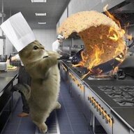CheezedBingus
