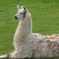 Go touch grass