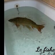 LeFishe