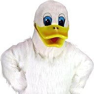 bird enemy car