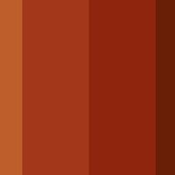 Various Shades of Brown