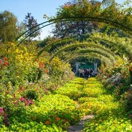 gardenoflights2