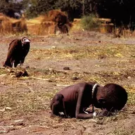 The Hungry African