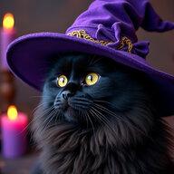 Spooky all year