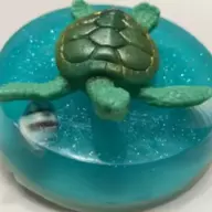 Turtle Soap