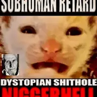 Starefag