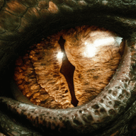 Snake Eyes