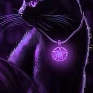 Purple Panther