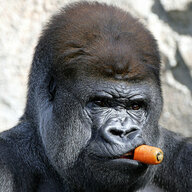 Gorilla Tessellator