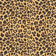 Leopard Coat
