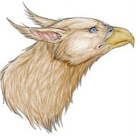 417Griffinhead