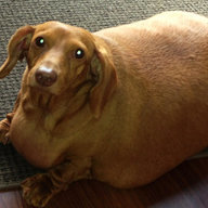 Thiccc Weenie