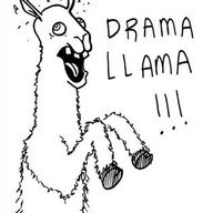 ~ Drama Llama Ding Dong ~