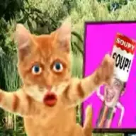 Soupy George