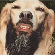 GarbanzoBeans