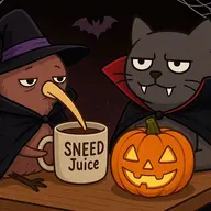 Memes Cat