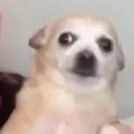 twonkster