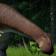 nigersaurus