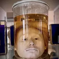 Invertigo