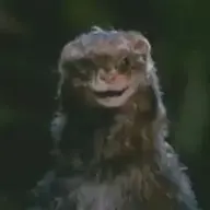 cobra fucker