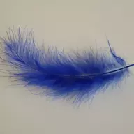 ButWholeTickler