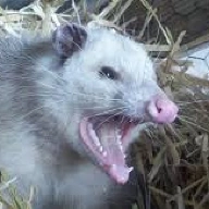 JeffDaTater