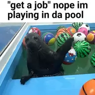 ihatepolarbears
