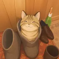 Shoe Cat